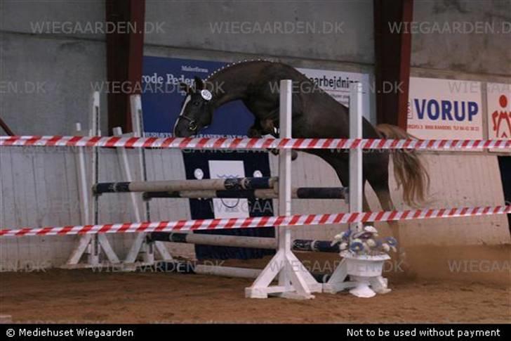 DSP Boccacio:<3 SOLGT :( billede 7