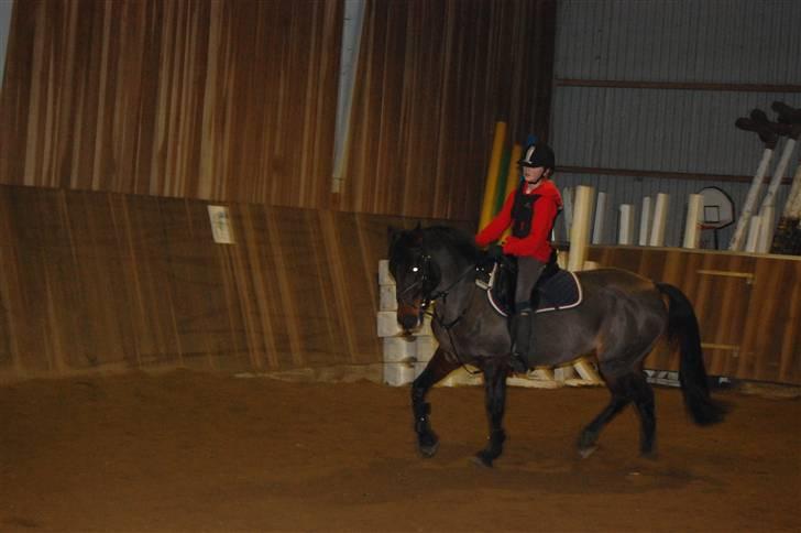 DSP Bæklunds Matina <33 - matina og bene(: - smukt par! - benes foto.d; billede 8