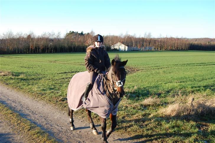 DSP Bæklunds Matina <33 - På tur(: - benes foto.d; billede 11