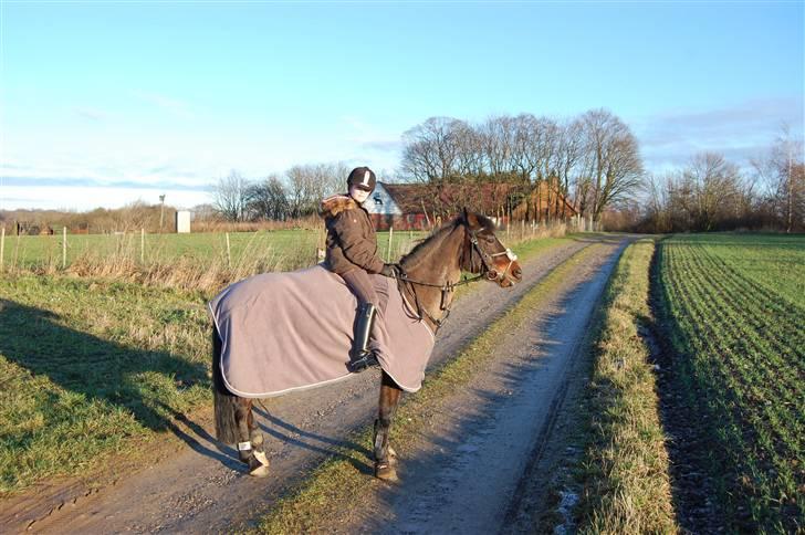 DSP Bæklunds Matina <33 - igen <3 - benes foto.d; billede 12