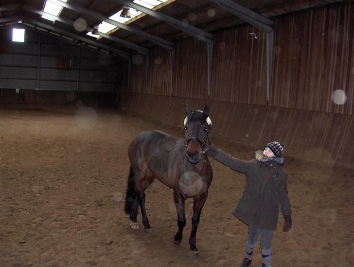 DSP Bæklunds Matina <33 - feb. 2008 med bene(: - gode tider<3 billede 15