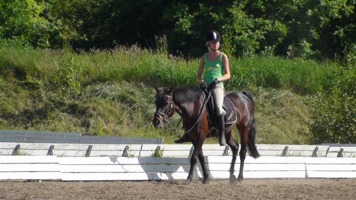 DSP Bæklunds Matina <33 - ups, der dovner vi den vidst!(: - foto: benita.d; billede 16