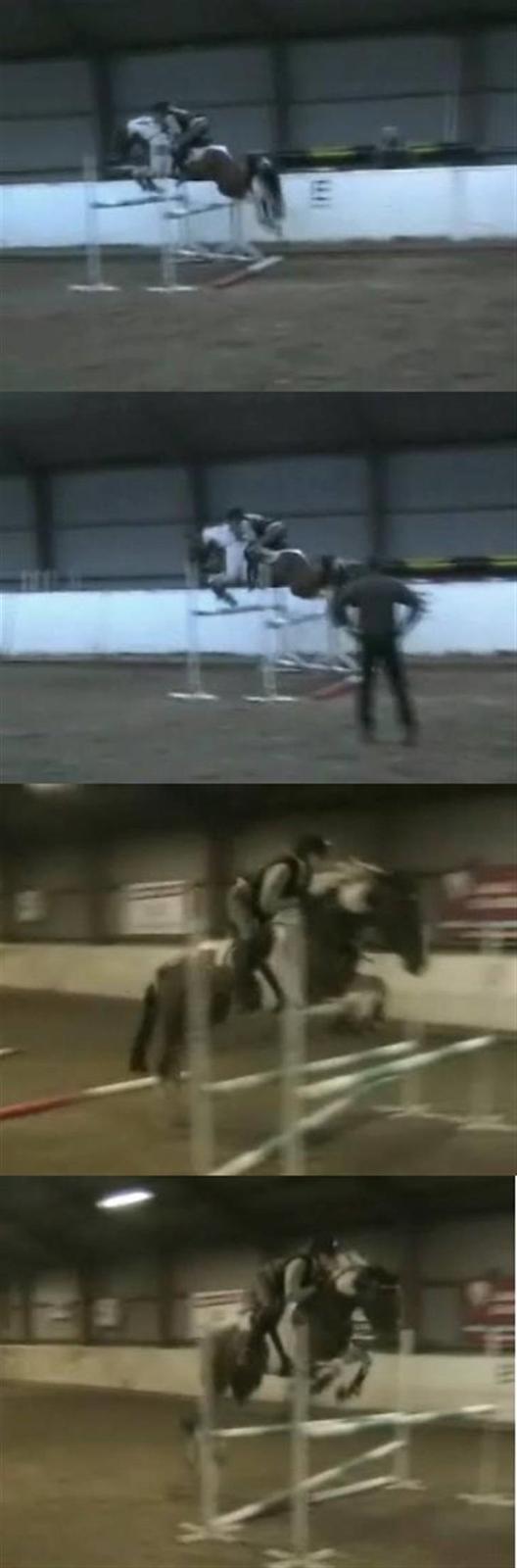 Pinto My Promise - 20# lidt spring d: - taget fra en video, derfor er kvaliten ikke så god (: billede 20