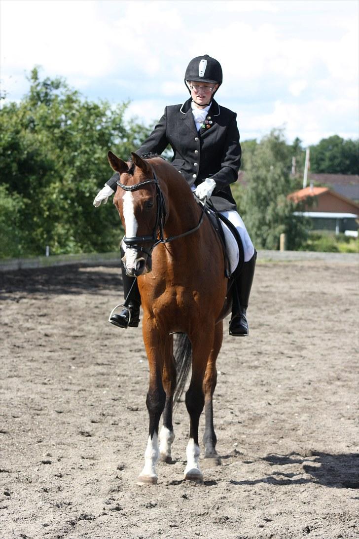 Anden særlig race Niko *Pops*Tøsedreng* - Sommeren 10 - Stævne Gedsted, fotograf Sandie billede 20