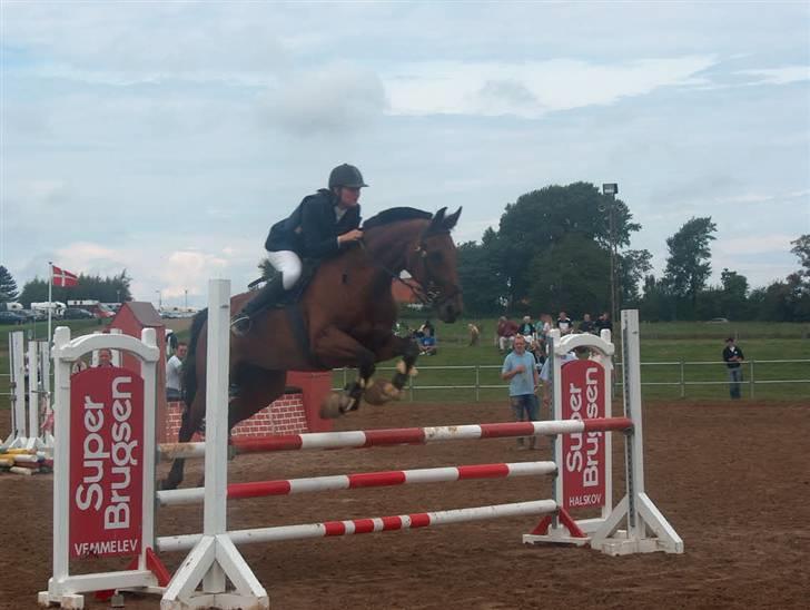 Anden særlig race Daphvemke - fra Lb´en i helsinge :) billede 13