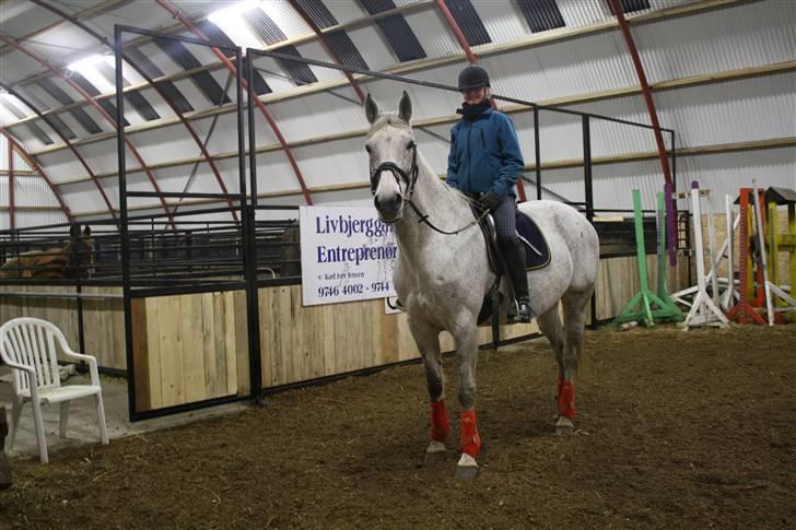 Anden særlig race Line ( halvpart) billede 9