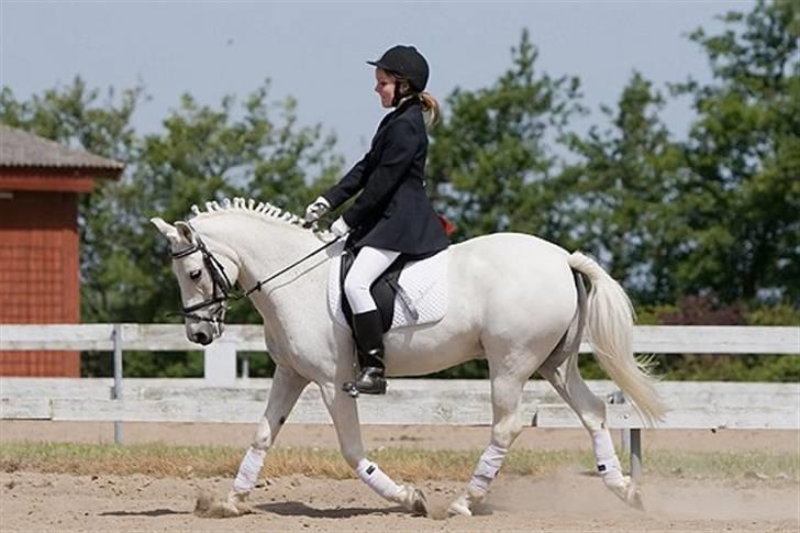 Anden særlig race Kashmir - min gamle part billede 7