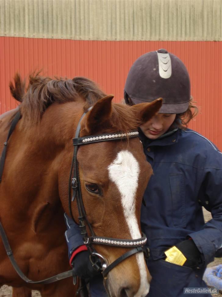 Anden særlig race  C'est la bon R.I.P - gad vide hvad hun har i lommen?;P billede 13