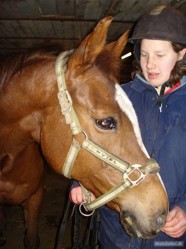 Anden særlig race  C'est la bon R.I.P - har du någet billede 14