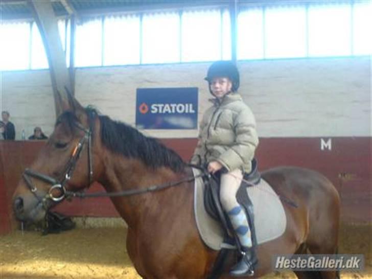 Anden særlig race Tøsen {Elev hest}(Simone) billede 11