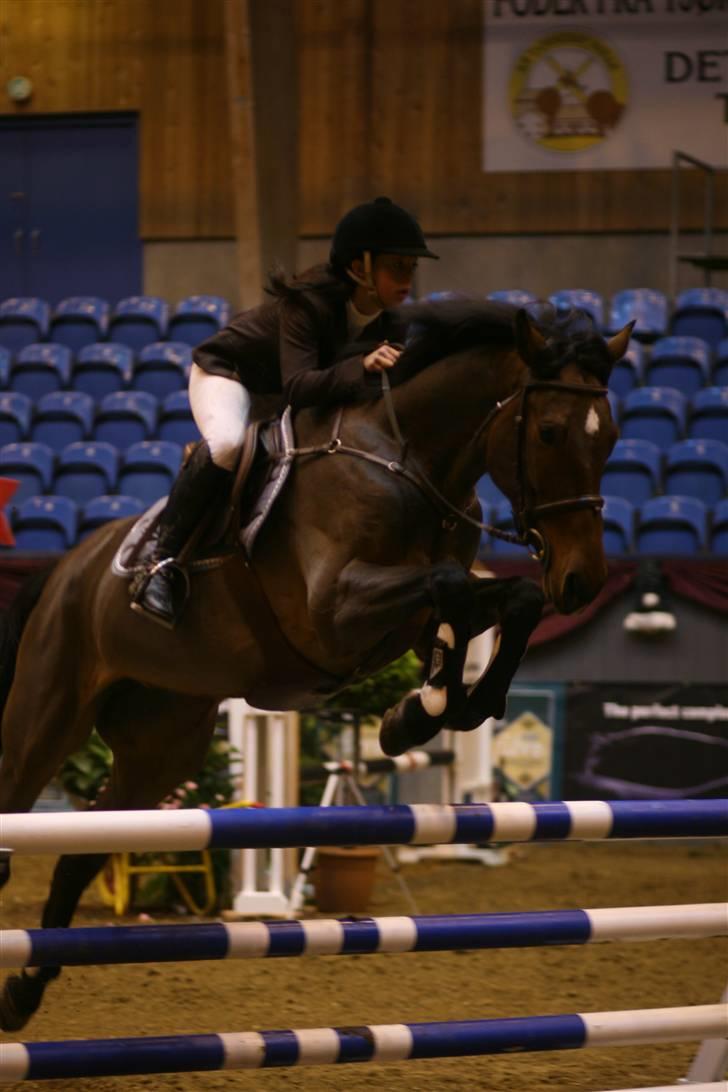 Dansk Varmblod Lucky N  - christmas show 2007 (:<3 billede 11