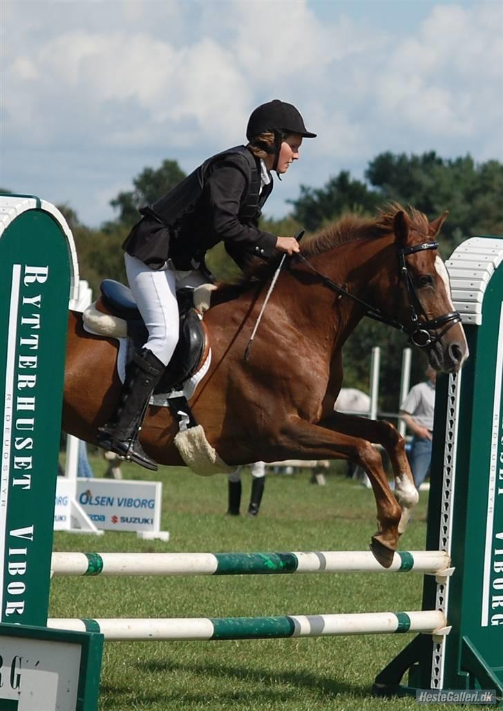 Anden særlig race  C'est la bon R.I.P - VIR CP-Foto(Camilla petersen);P billede 16