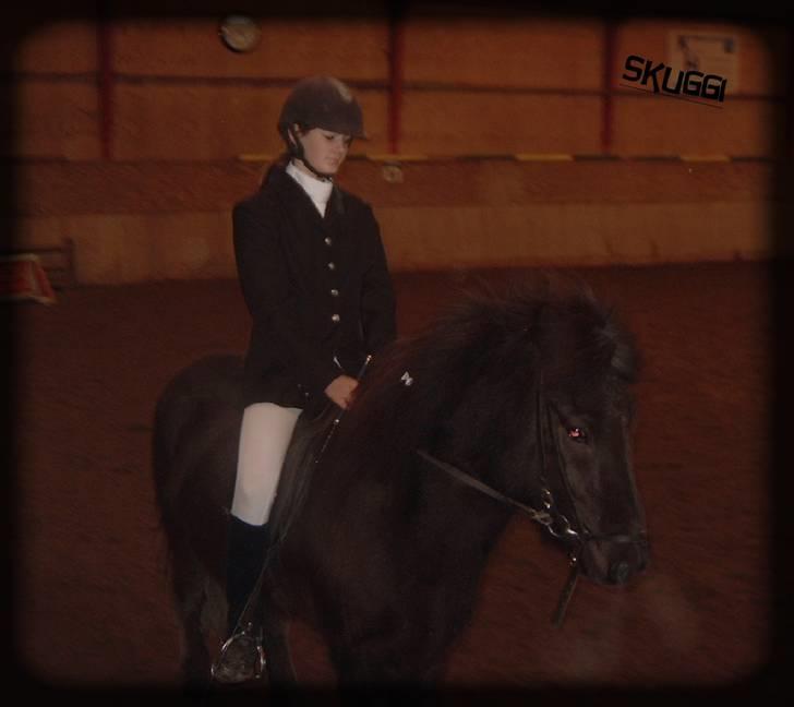 Islænder Skuggi fra risbjerg - mig og skuggi til elev stævne hvor vi rider lc1 dressur =) billede 14