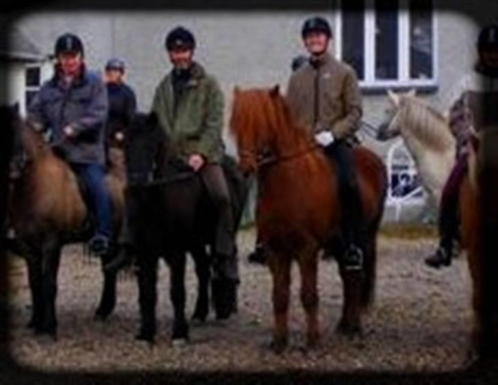 Islænder Skuggi fra risbjerg - dressue stævne billede 15