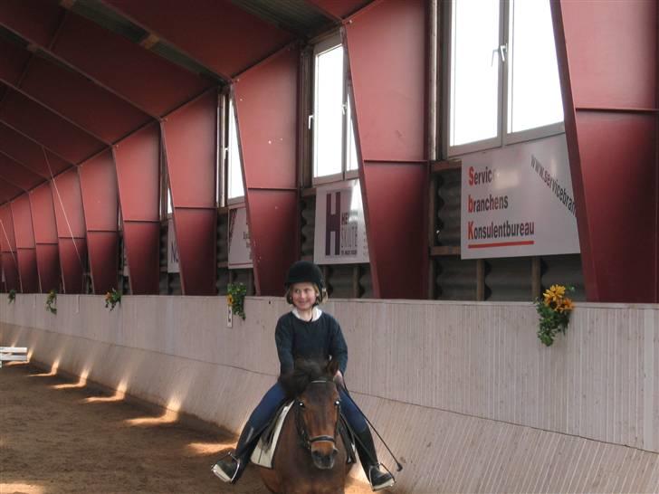 Shetlænder Musse *DØD* D'': - lidt grim har man da lov at være,, når man ingen for-tænder har :D [ilu <,3 musse] billede 4