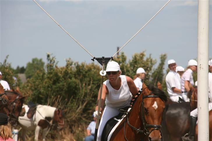 Holstener Lipicella *Gl. Part* - Lips og Jeg, Broager 2009 billede 7