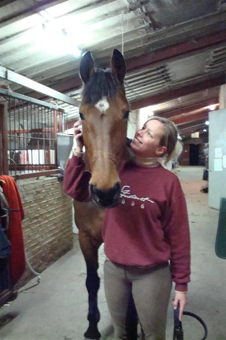 Holstener Lipicella *Gl. Part* - Mmmm, dejligt ... billede 14