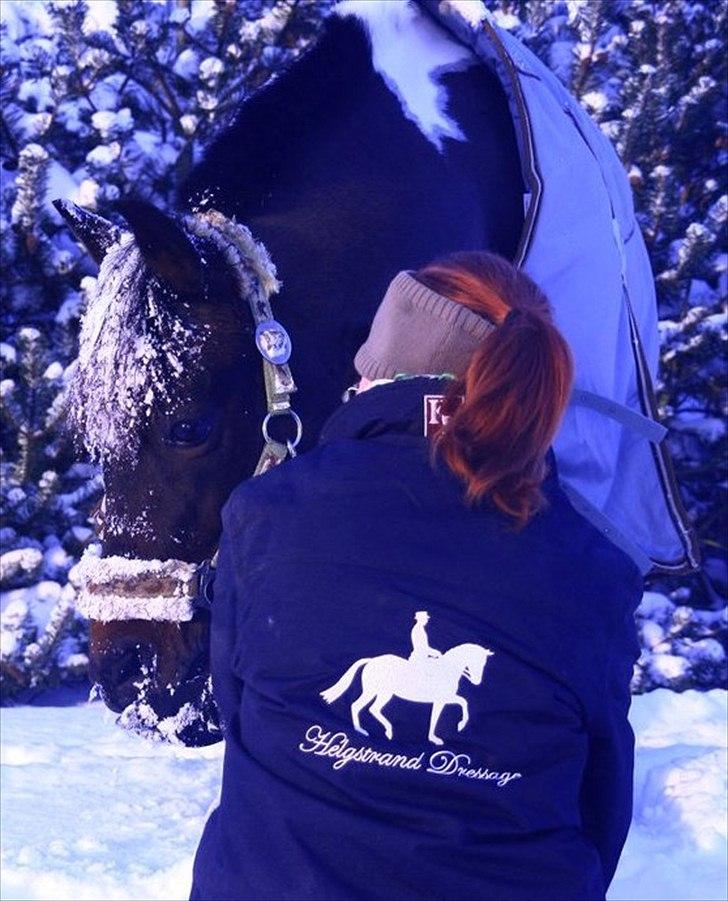 Pinto Spirit  - spirit!<3 vinter 2010-2011 billede 1