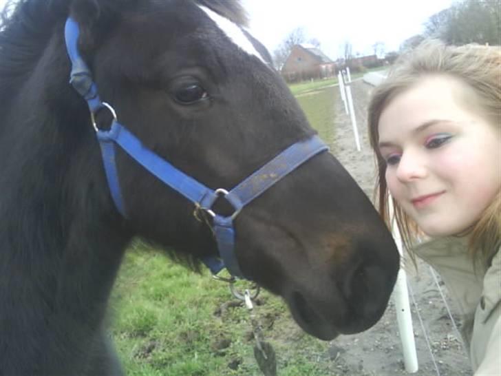 Traver precious pride billede 5