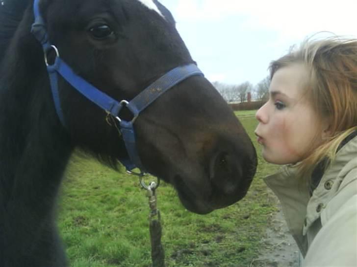 Traver precious pride - møs møs jeg elsker dig blakey billede 6