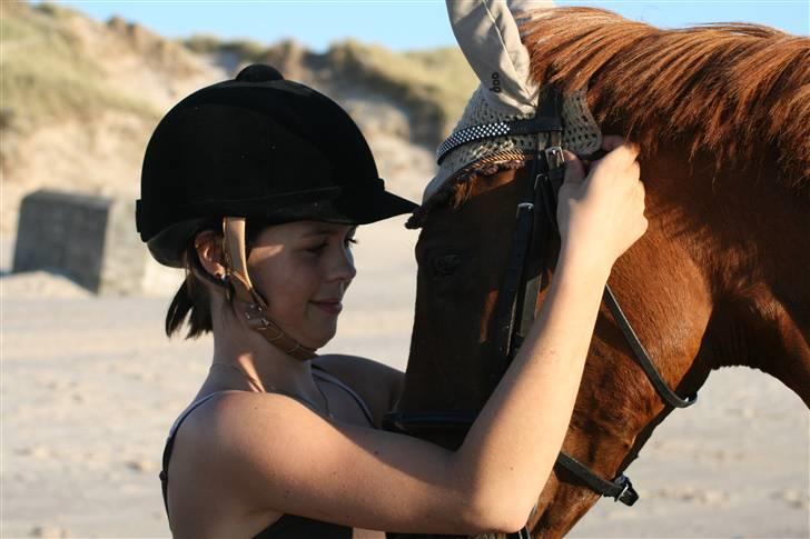 Anden særlig race Cassiopeia - ELSKER DIG<3 Stranden 08<3 billede 3