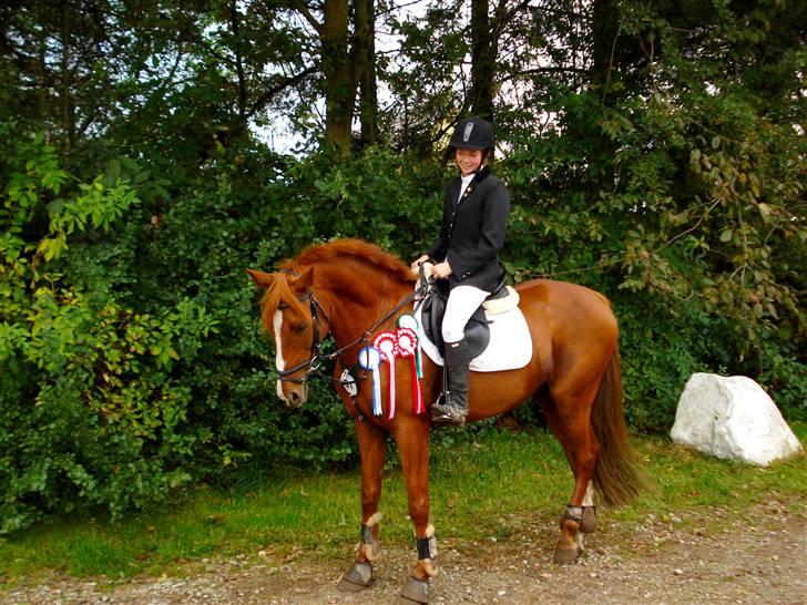 Anden særlig race Cassiopeia - Vinder hesten<3  billede 4