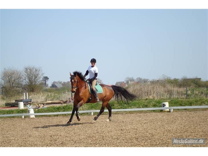 {{currentPhoto.altText}} billede {{currentPhoto.number}}