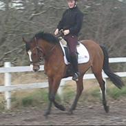 Anden særlig race Lacuna Coil <33 Solgt :')