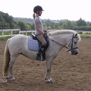 Anden særlig race cirkeline (tidligere part)