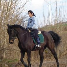 Anden særlig race Labell