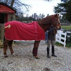 Holstener Prins Kahlagan