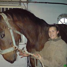 Anden særlig race Milton