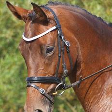 Trakehner Natacha (Møffe)