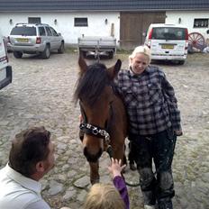 Anden særlig race Hovgaardens Flemming