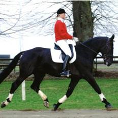 Oldenborg Dinar Agerbo OLH739