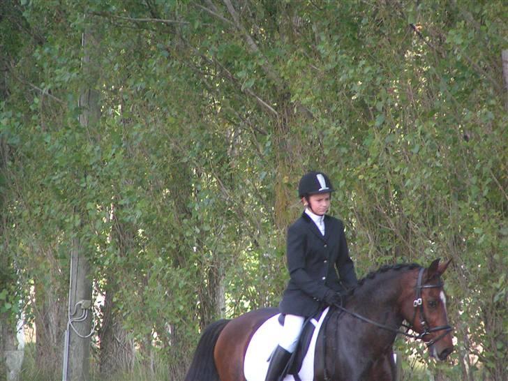 New Forest Hovvejens Juno - Skørt billede :p Smukke Juno <33 billede 3