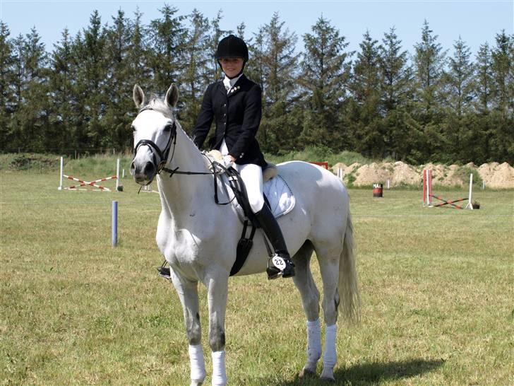 Dansk Varmblod Laiduc Attrup - Laiduc efter La1 i Mønsted :) billede 11