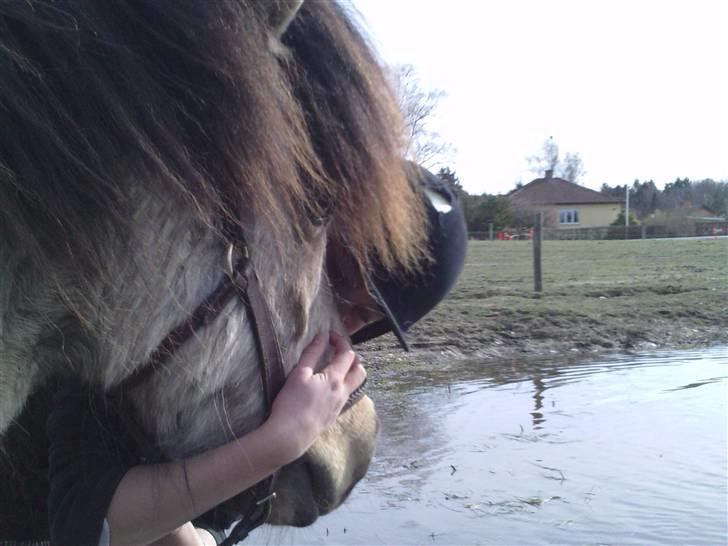 Anden særlig race Tjalfe ' Alt<3 *Gl. Part* - 6) Tjalfe og jeg april 2009(: billede 6