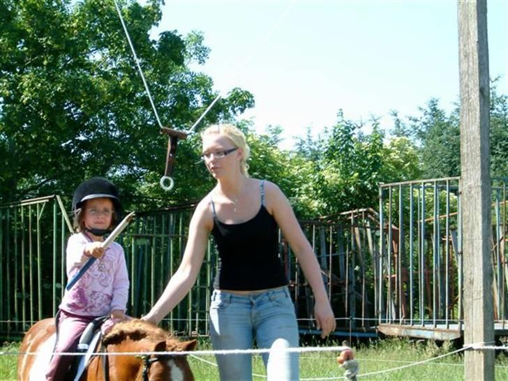 Shetlænder Mads (solgt) - Klara forsørge sig som ringridningsrytter- og hun fik hele 6 ringe billede 9