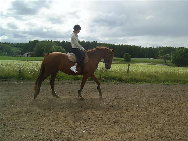 Anden særlig race Freja<33 - hér er vi da vidst kommet liiidt ud a boksen xxD hihi, du så søød skat <33 billede 9