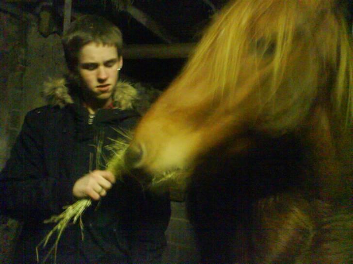 Anden særlig race Freja<33 - Freja og Min Dejlige Dreeeng <333 :D billede 10