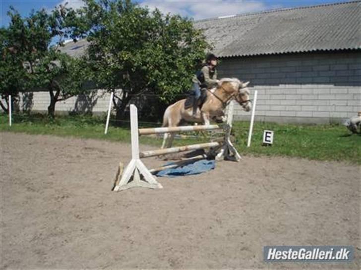 Anden særlig race Bailey <3 - solgt d.08/08/2007. - 1} - mig og baileys sidste springtime 1meter. billede 1