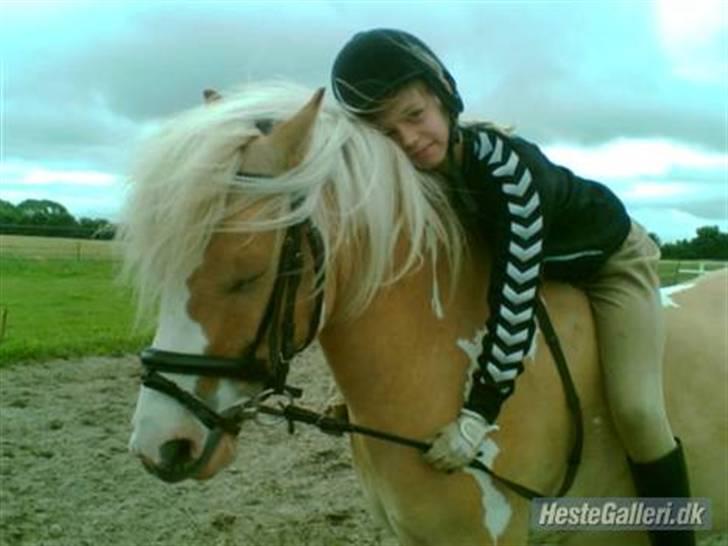 Anden særlig race Bailey <3 - solgt d.08/08/2007. - 6} - hygge ridning uden sadel :) billede 6