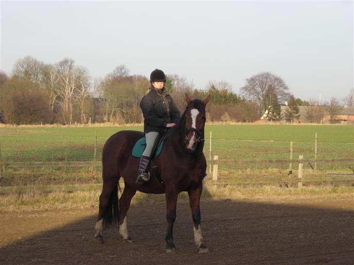 Dansk Varmblod Præstegårdens Ibert - D.10.februar. 2008 1.gang jeg sidder på Ibert, efter at vi havde fået ham "hjem". billede 3