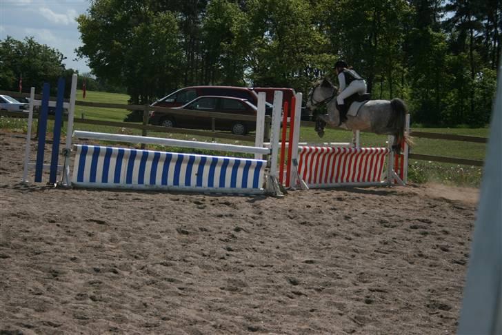 Arabisk fuldblod (OX) Fly - "åhh min nye manicure" ;p LB pracenningen <3 ser lidt komisk ud ;D billede 6