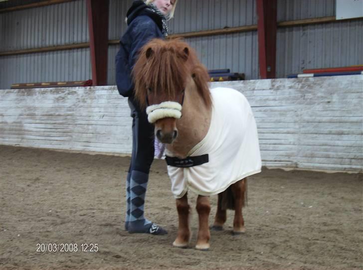 Anden særlig race S Flying Ferrari SOLGT <3 billede 3