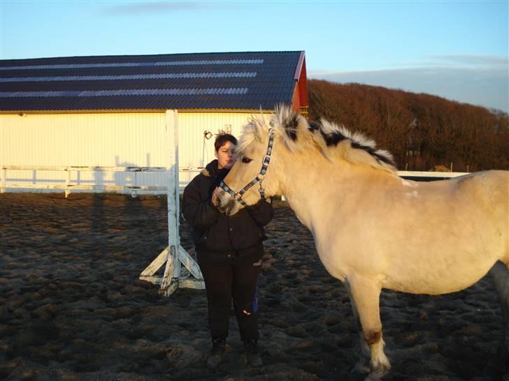 Fjordhest Mai - Hej med dig Linetta(: billede 6