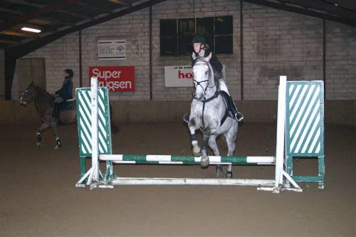 Anden særlig race Prins  - mig og Prins sprang 125 den dag :P billede 18