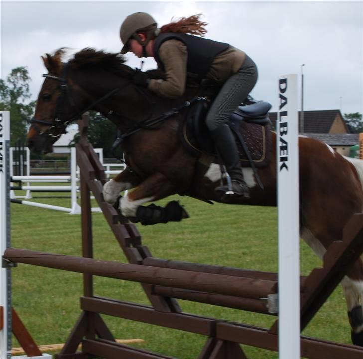 Anden særlig race Charlie *B-PONY* **R.I.P D. 13.03.2012** - Charlie til træning. billede 5