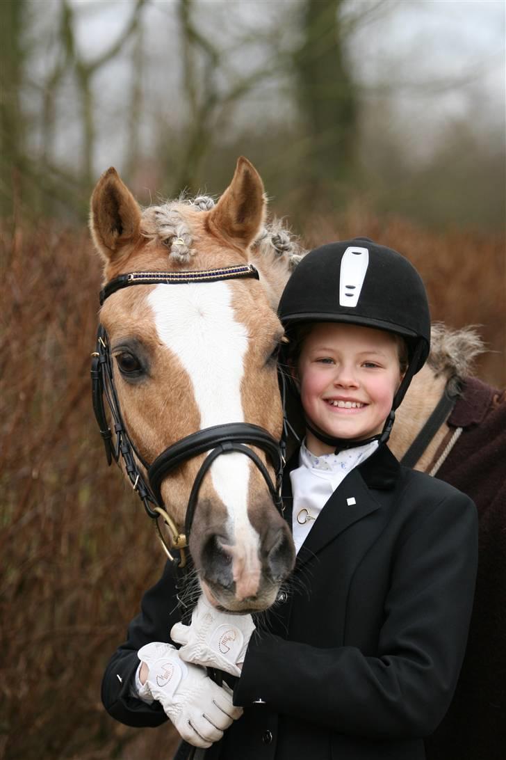 Welsh Cob (sec D) Åvangs Bounty A-pony - Bonty og mig til landsstævne i Billund :) billede 8